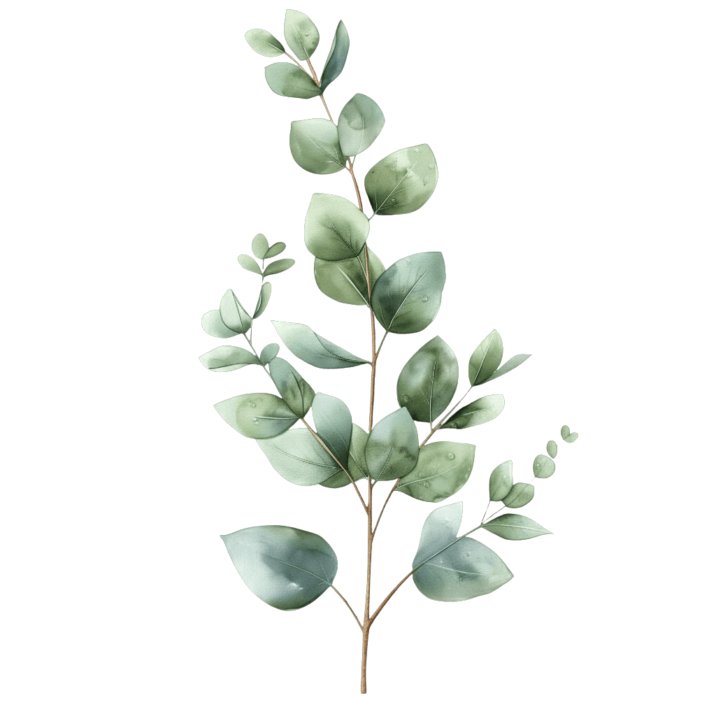 Eucalyptus Branch